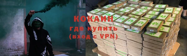 ешки Бородино