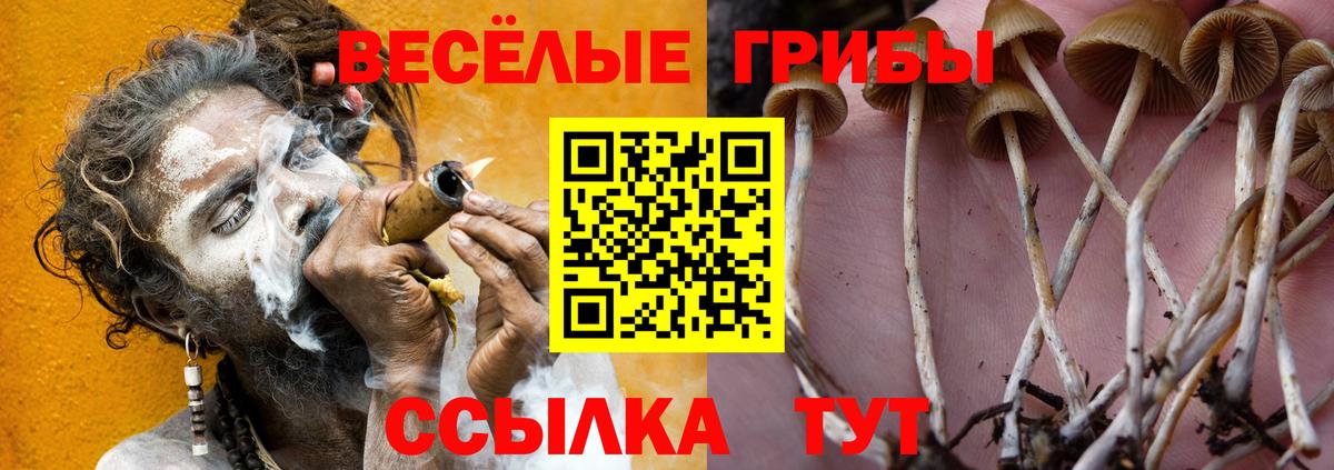 наркотики  Псилоцибиновые грибы ЛСД  Вход с VPN  Великий Устюг  Галлюциногенные грибы MAGIC MUSHROOMS 