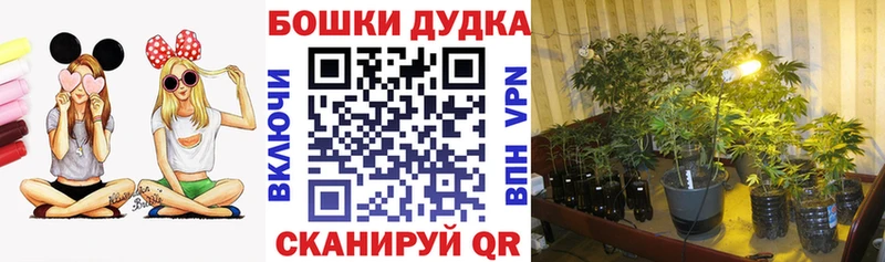 Шишки марихуана AK-47 Великий Устюг
